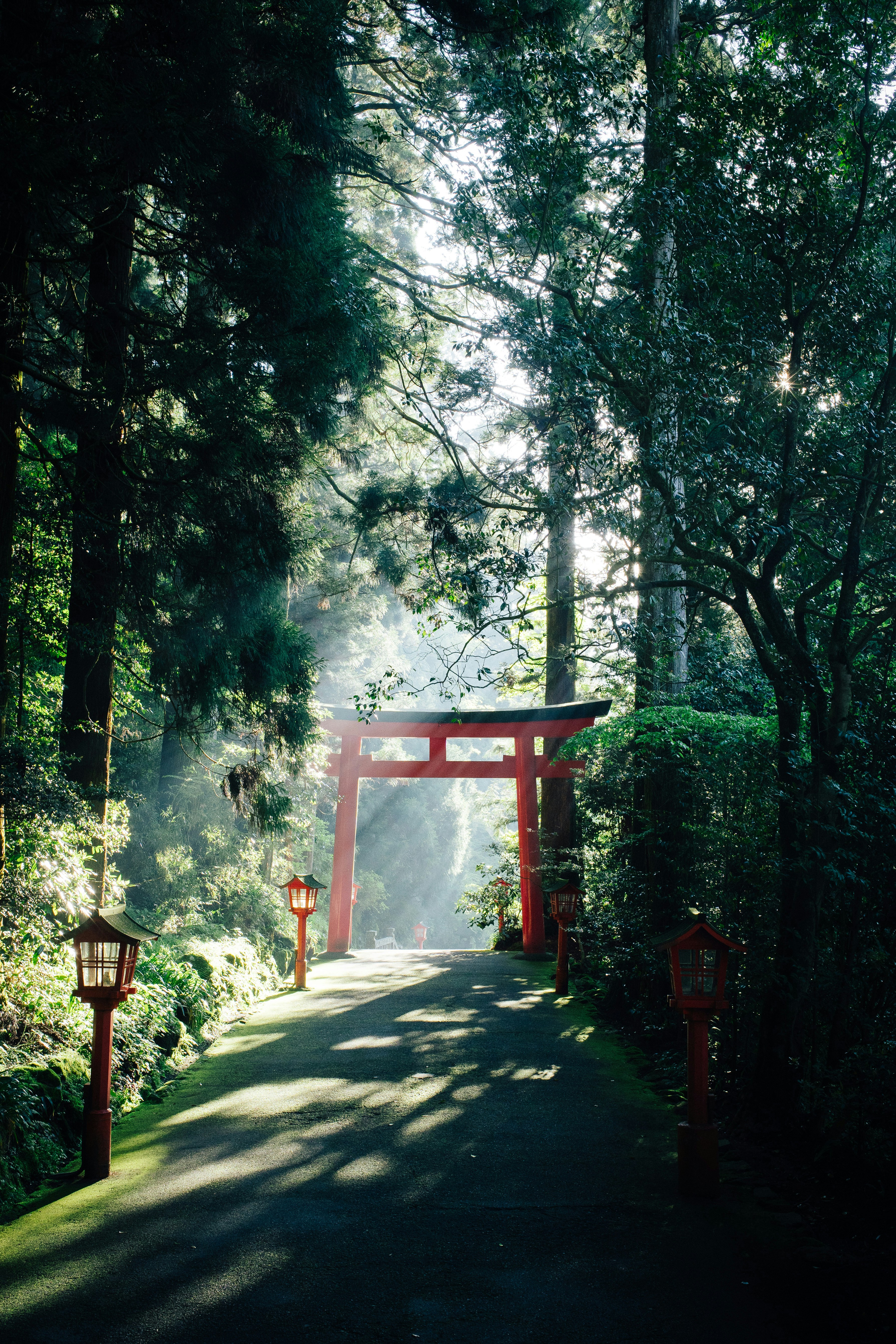 Japan — language schools, technical colleges, and cultural preparation